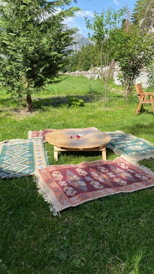Guesthouse Demushi Valbona Kültér fotó