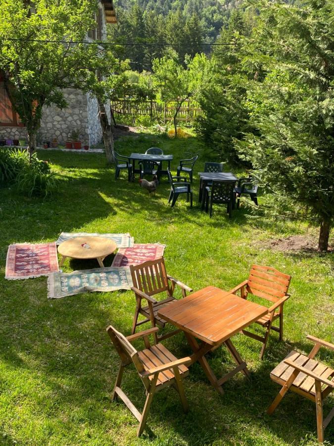 Guesthouse Demushi Valbona Kültér fotó