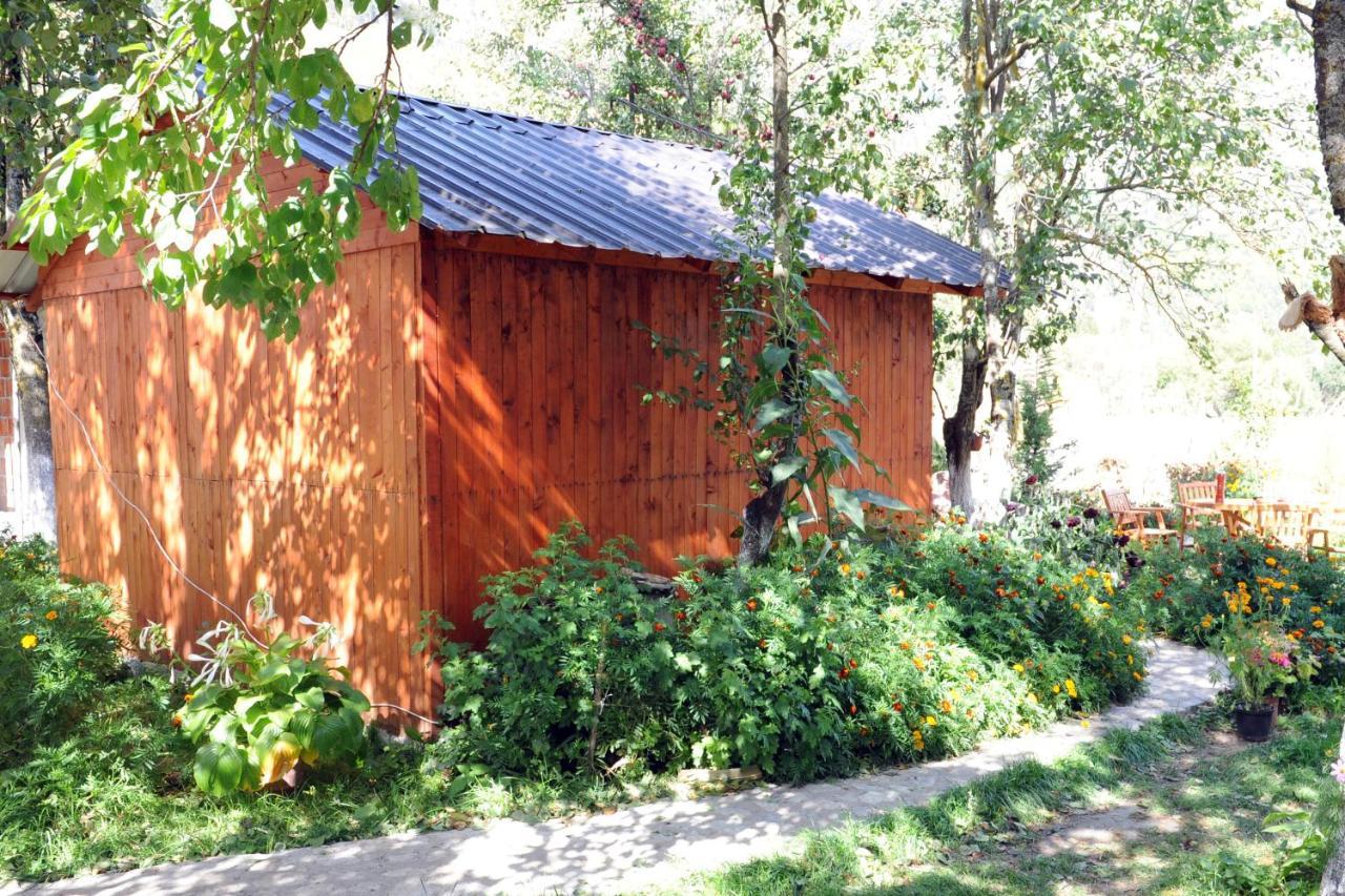Guesthouse Demushi Valbona Kültér fotó