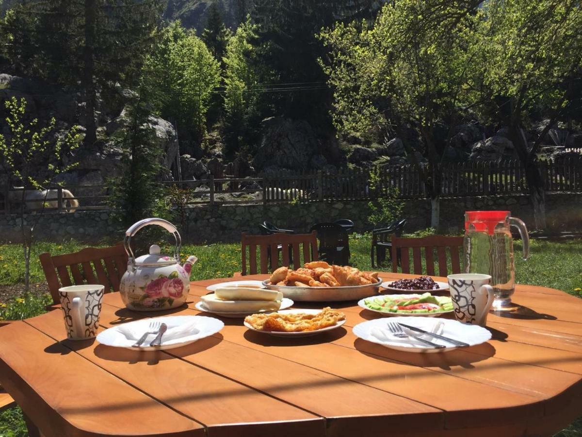 Guesthouse Demushi Valbona Kültér fotó