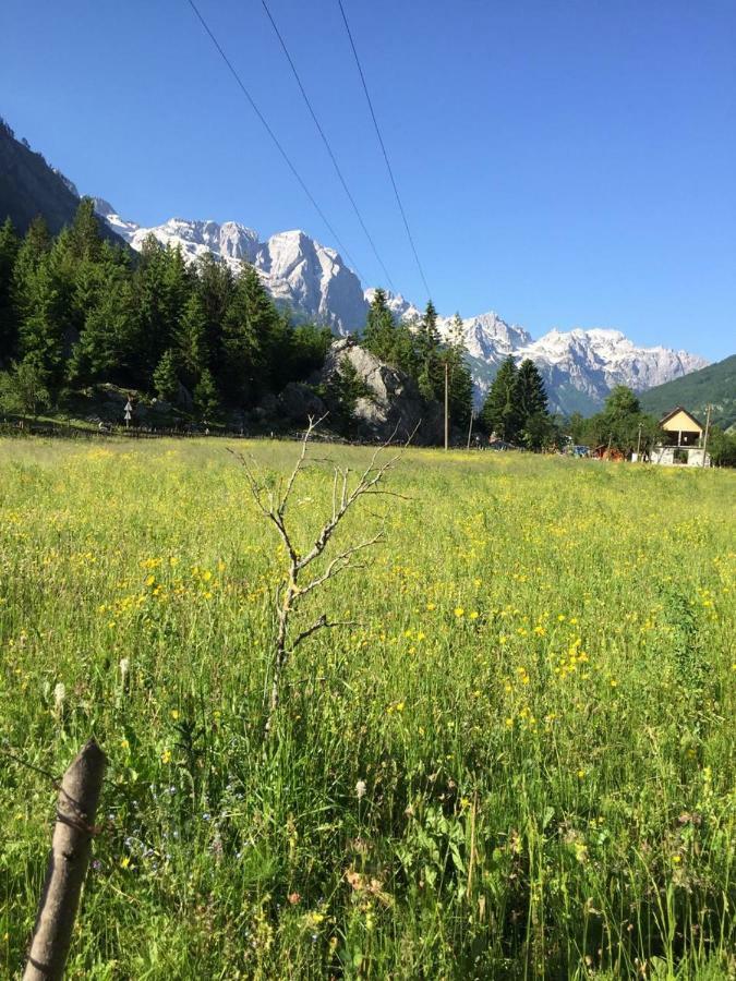 Guesthouse Demushi Valbona Kültér fotó